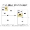 图片 Plus 普乐士超经济型透明 ― 文件夹 + A4  5个装 混合色